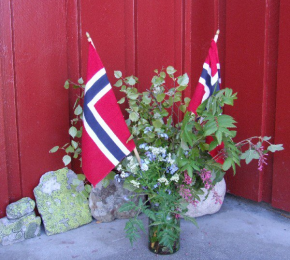 Norwegian National Day Celebration